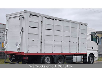 MAN TGX 26.440 FG 6x2  Menke Janzen 3 Stock  - Hayvan nakil aracı kamyon: fotoğraf 4