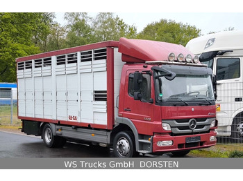 Mercedes-Benz Atego 1329  4x2  KA-BA Viehtransporter Großvieh  - Diğer araçlar: fotoğraf 1