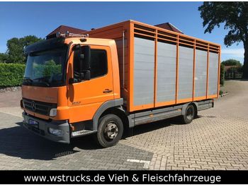 Hayvan nakil aracı kamyon nakliyatı için hayvanlar Mercedes-Benz 822 L  mit Eckstein Einstock: fotoğraf 1