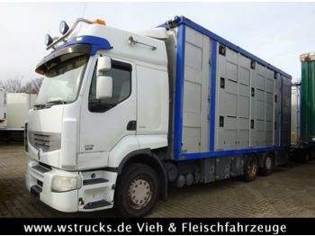 Hayvan nakil aracı kamyon Renault 450 DXI  Menke 3 Stock Hubdach: fotoğraf 1