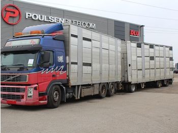 Hayvan nakil aracı kamyon Volvo FM 420 6x2: fotoğraf 1