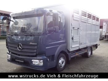 Kapalı kasa kamyonet nakliyatı için hayvanlar Mercedes-Benz 821L" Neu" WST Edition" Menke Einstock Vollalu: fotoğraf 1