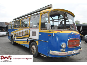 Turistik otobüs Setra S 11 A Oldtimer: fotoğraf 1