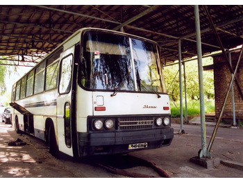 IKARUS 250.59 - Turistik otobüs