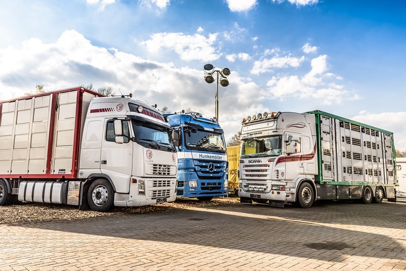 WS Trucks GmbH - Dorseler undefined: fotoğraf 1