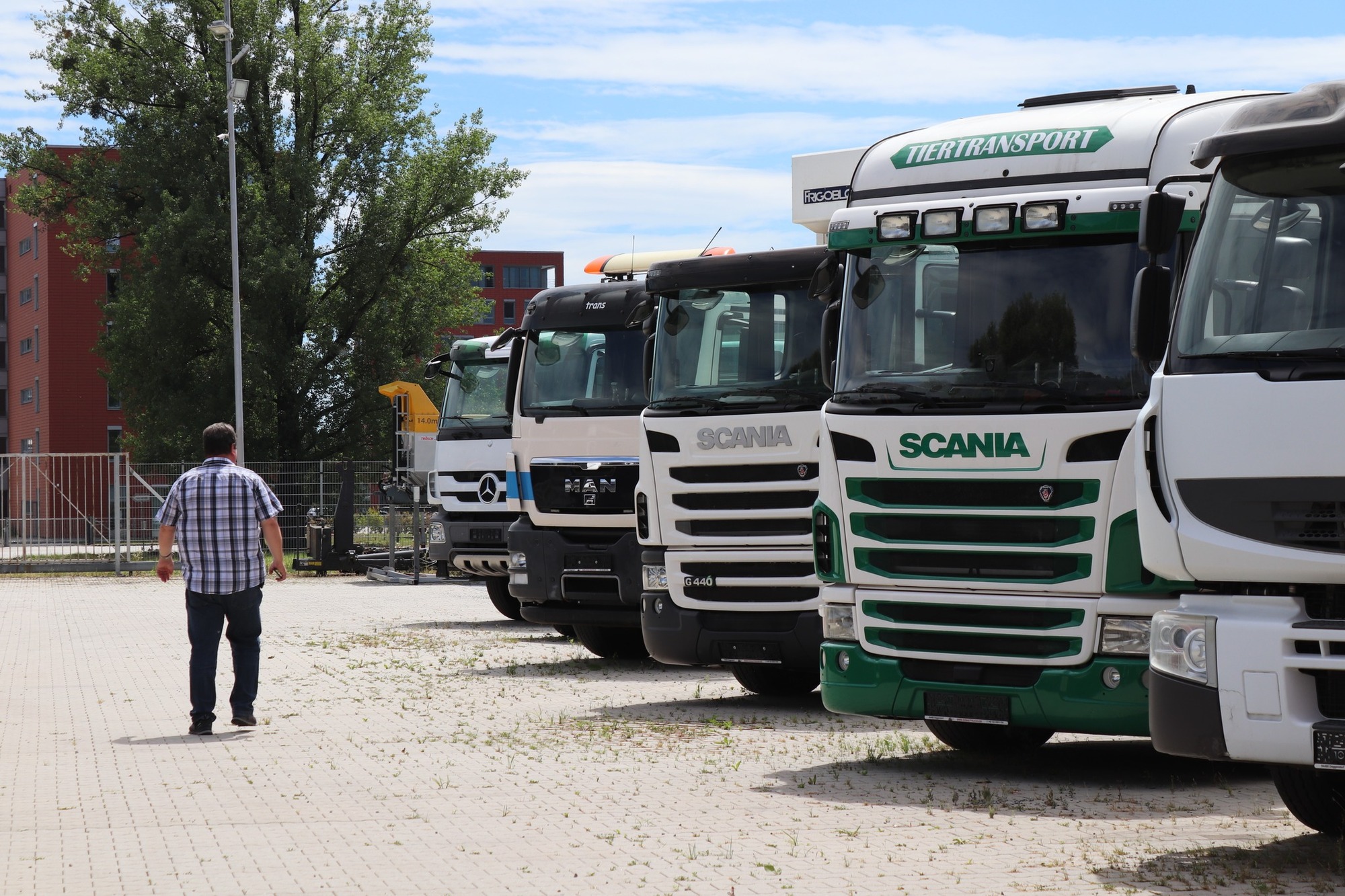 Donau Trucks GmbH undefined: fotoğraf 3